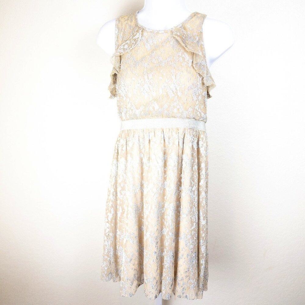 Wonder Nation Shine Party Dress, XL